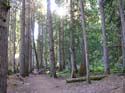 Priest Lake Area Photographs (573)