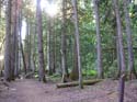 Priest Lake Area Photographs (574)