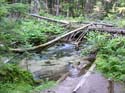 Priest Lake Area Photographs (575)