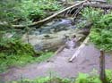 Priest Lake Area Photographs (576)