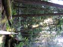 Priest Lake Area Photographs (581)