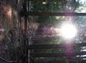 Priest Lake Area Photographs (583)