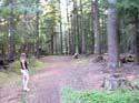 Priest Lake Area Photographs (586)