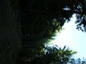 Priest Lake Area Photographs (587)