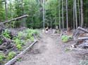Priest Lake Area Photographs (588)