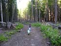 Priest Lake Area Photographs (589)