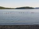 Priest Lake Area Photographs (594)