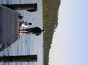 Priest Lake Area Photographs (597)