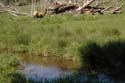 Priest Lake Area Photographs (6)