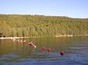 Priest Lake Area Photographs (601)