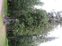 Priest Lake Area Photographs (604)
