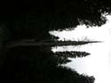 Priest Lake Area Photographs (611)