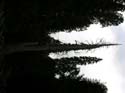 Priest Lake Area Photographs (612)