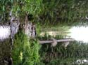 Priest Lake Area Photographs (614)