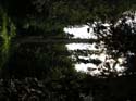 Priest Lake Area Photographs (617)