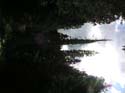 Priest Lake Area Photographs (618)