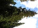Priest Lake Area Photographs (623)
