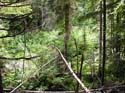 Priest Lake Area Photographs (627)