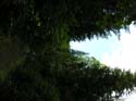 Priest Lake Area Photographs (630)