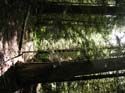 Priest Lake Area Photographs (634)