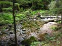 Priest Lake Area Photographs (636)