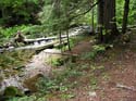 Priest Lake Area Photographs (637)