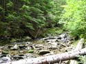 Priest Lake Area Photographs (638)