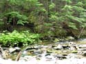Priest Lake Area Photographs (639)