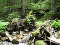 Priest Lake Area Photographs (641)
