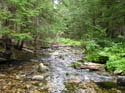 Priest Lake Area Photographs (644)