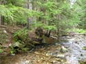 Priest Lake Area Photographs (645)