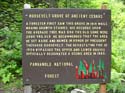 Priest Lake Area Photographs (646)
