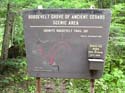 Priest Lake Area Photographs (653)