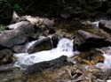 Priest Lake Area Photographs (654)