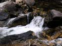 Priest Lake Area Photographs (655)