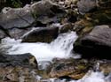 Priest Lake Area Photographs (656)