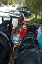 Priest Lake Area Photographs (66)