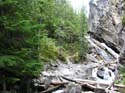 Priest Lake Area Photographs (661)