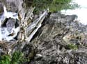 Priest Lake Area Photographs (666)