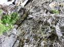 Priest Lake Area Photographs (667)