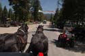 Priest Lake Area Photographs (67)