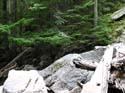 Priest Lake Area Photographs (671)