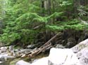 Priest Lake Area Photographs (672)