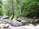 Priest Lake Area Photographs (673)