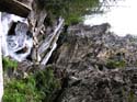 Priest Lake Area Photographs (675)