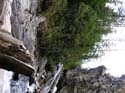 Priest Lake Area Photographs (676)