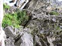 Priest Lake Area Photographs (677)