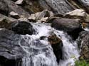 Priest Lake Area Photographs (679)