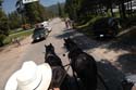 Priest Lake Area Photographs (68)