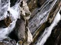 Priest Lake Area Photographs (681)